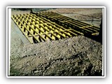 Cattle Guard 12-2020